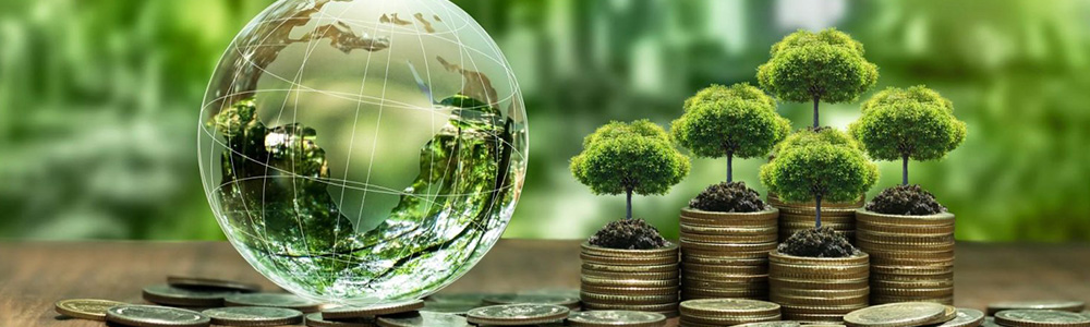 ماجستير مهني في اقتصاد الطاقة والتنمية المستدامة